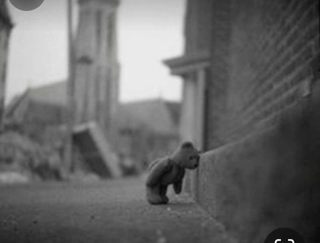 Screenshot_20231119_215010_Pinterest