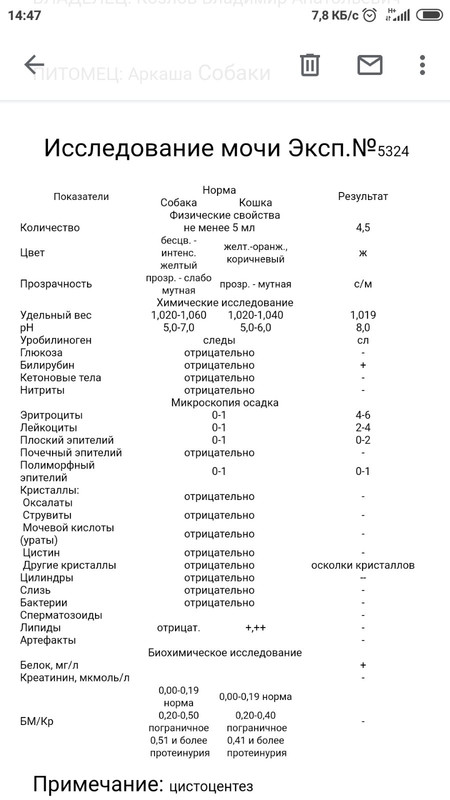 изображение_viber_2019-12-13_15-41-16