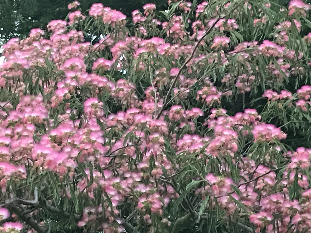 994CE6B9-154E-45B4-9894-44FF9534BA11