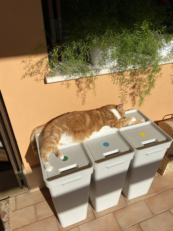 84194C6B-D875-4093-908F-22B5DAF8C7C5