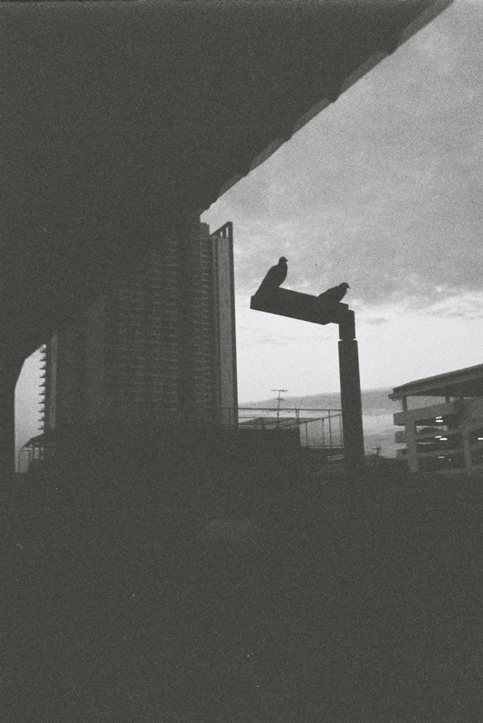 Retro400SHF_182_resize