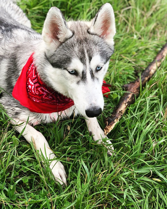 34370CA9-FC3C-49E7-996D-218B2126DF06