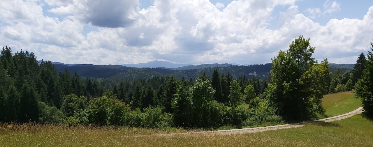 20210714-132427-c.jpg