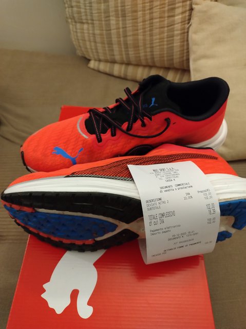 IMG_20231210_170814943