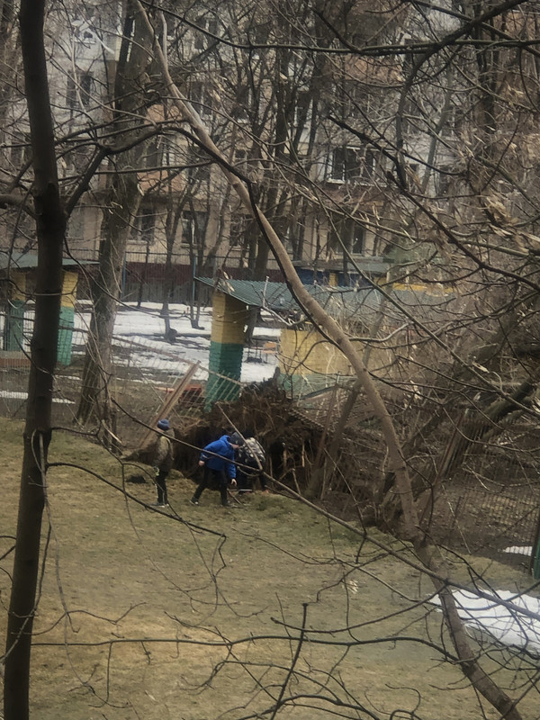 FAC9A8E4-E960-4EEA-8180-3714EA7C6DFC