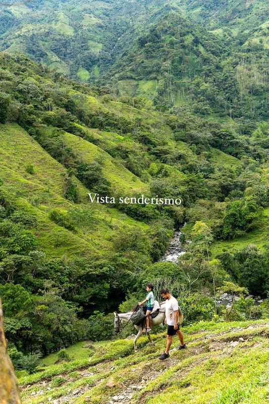 Valle de las Cascadas 16
