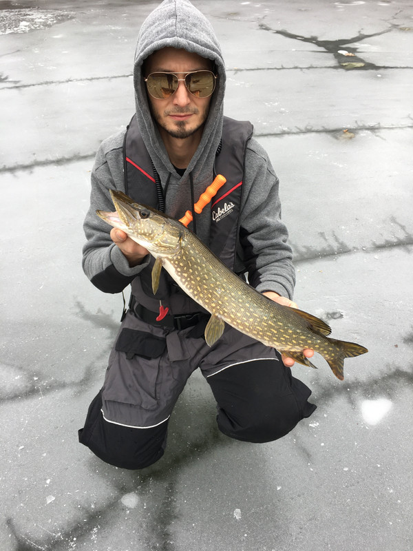 53C4B58B-27CE-4203-97AA-F954F0520192