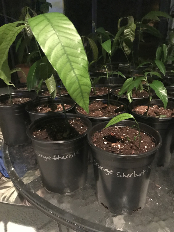 B108151B-BA53-4F9D-AE7B-28937B4566CA