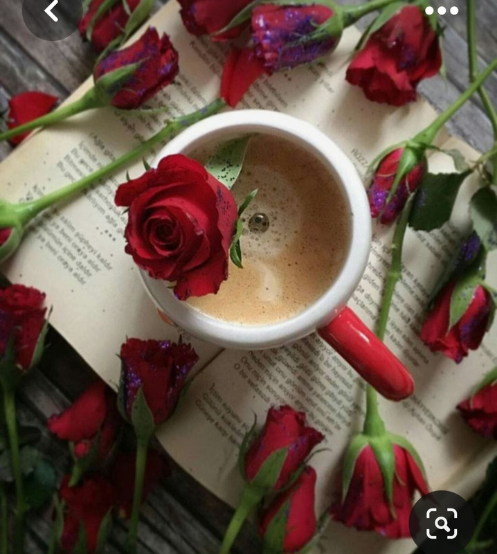 Screenshot_20230717_221722_Pinterest