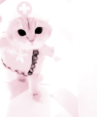 I edited this gif for my rentry, it's NF2U!