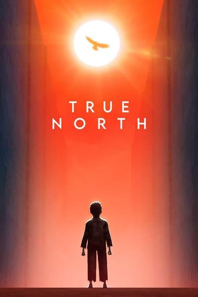 True North 2020 720p HDCAM-C1NEM4