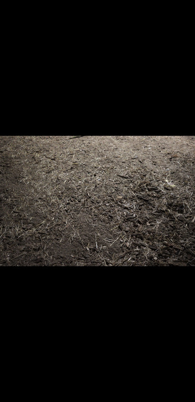 Screenshot 20260830 013435 Gallery