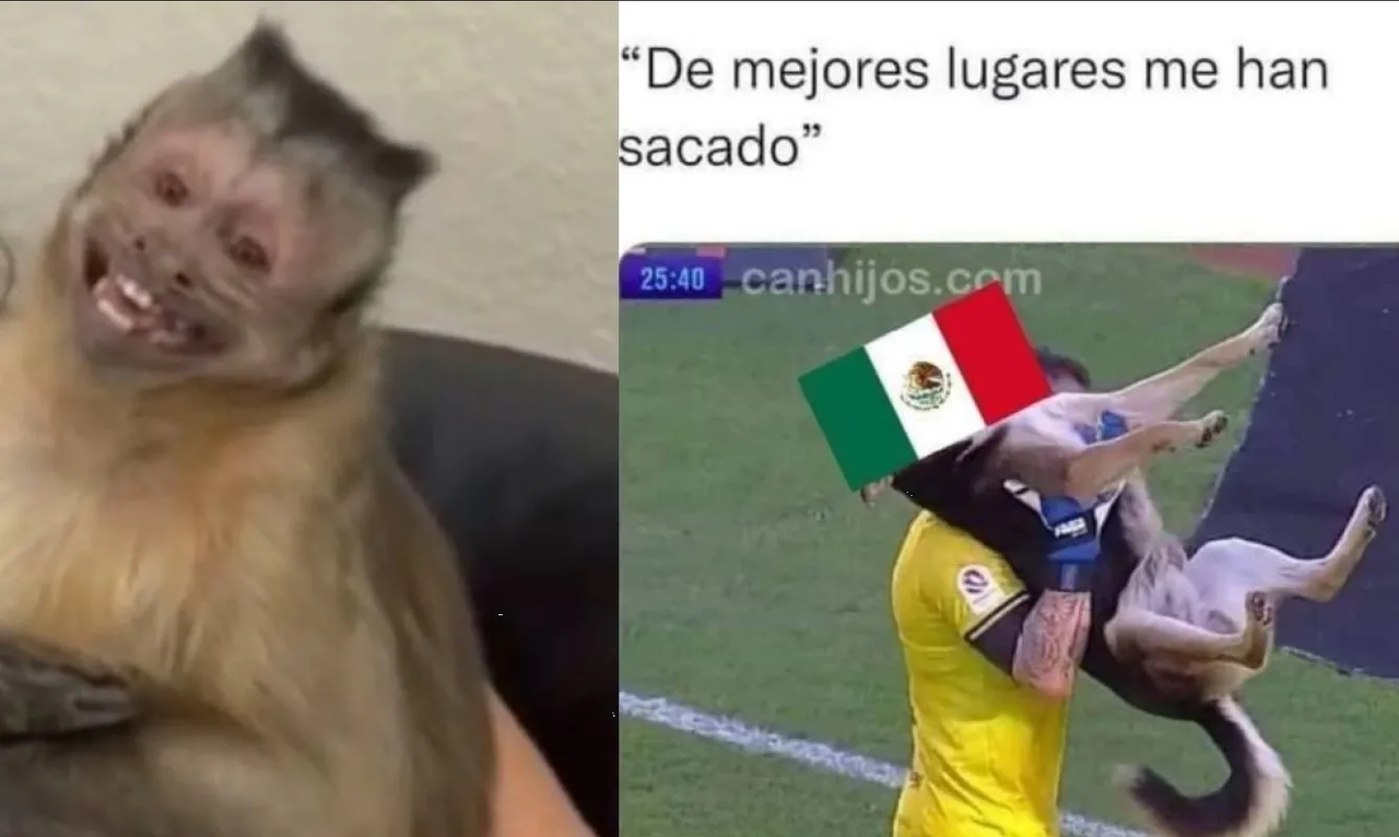 Los mejores memes del 2022