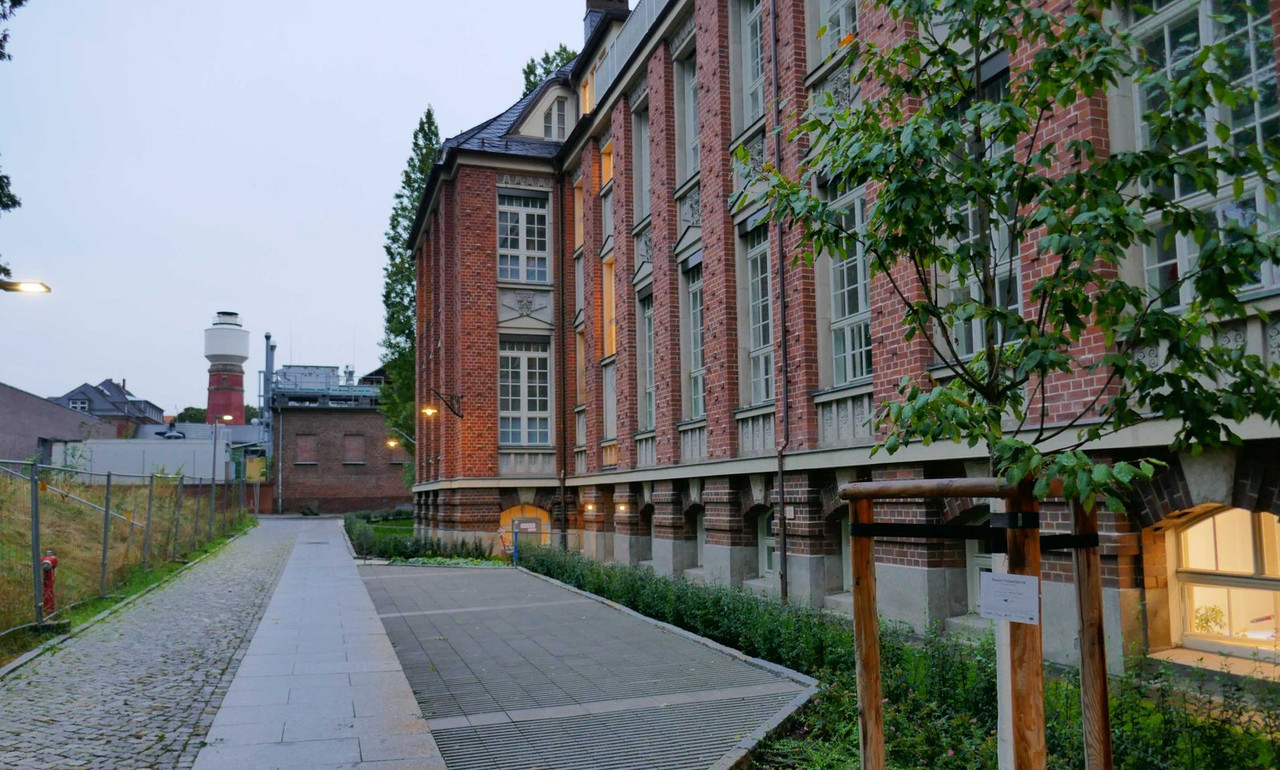 P1300975.jpg