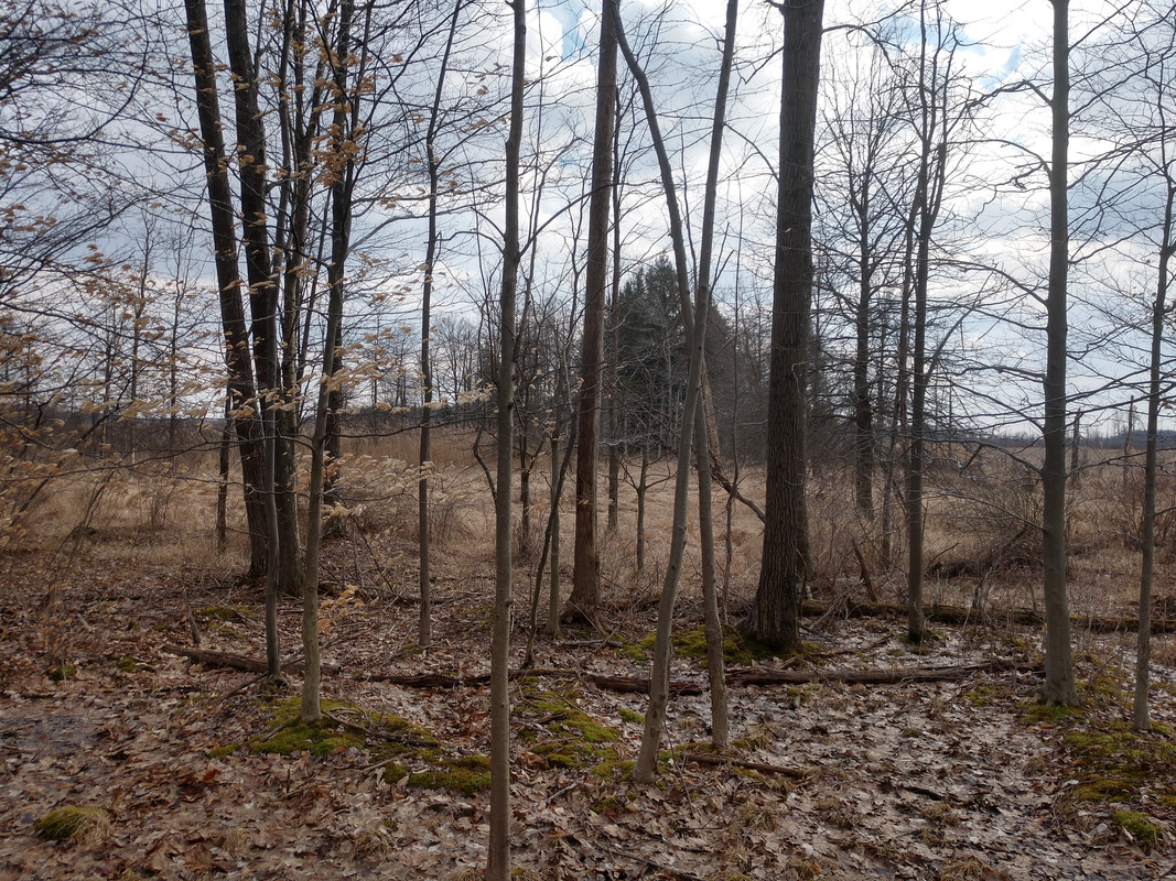 IMG_20190319_162003257_HDR