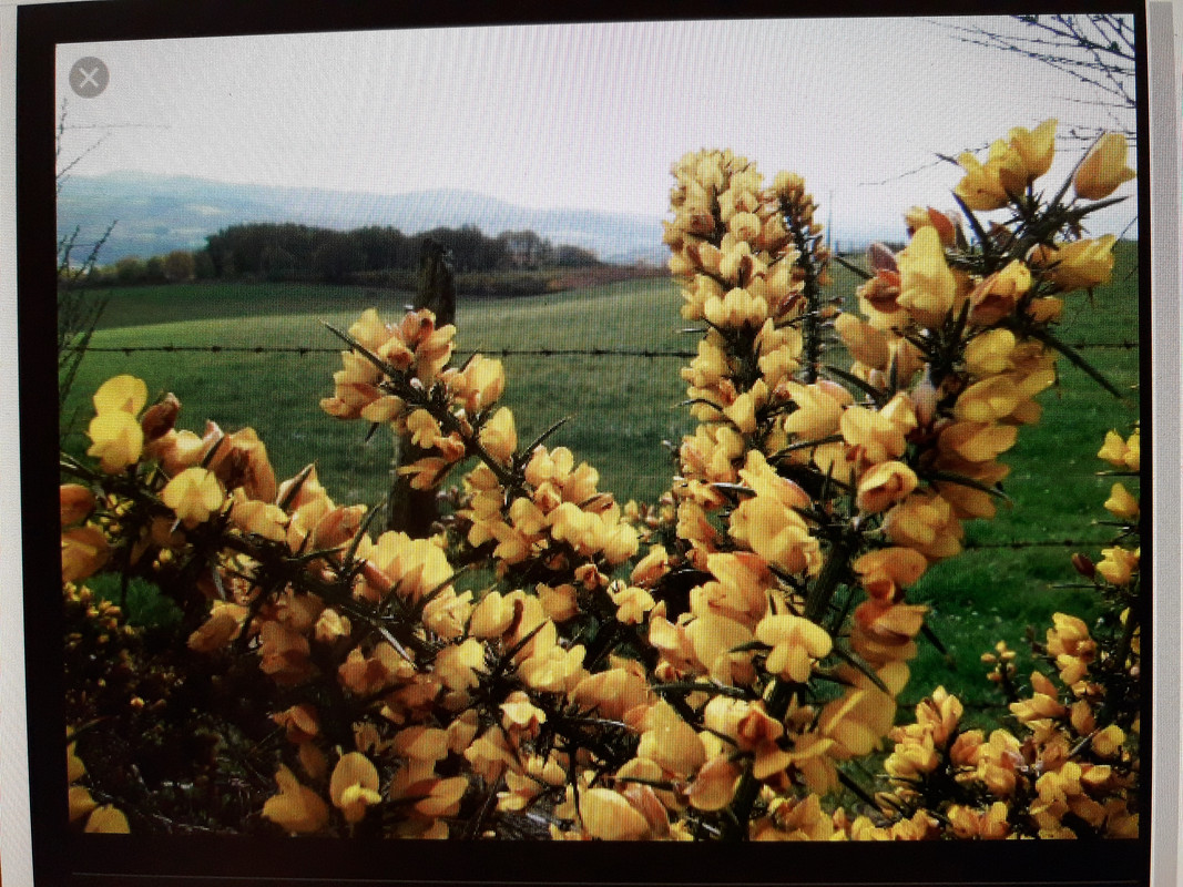 15769607637666959283907753026297