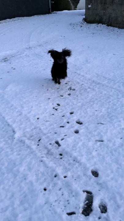 [Image: IMG-5063.jpg]