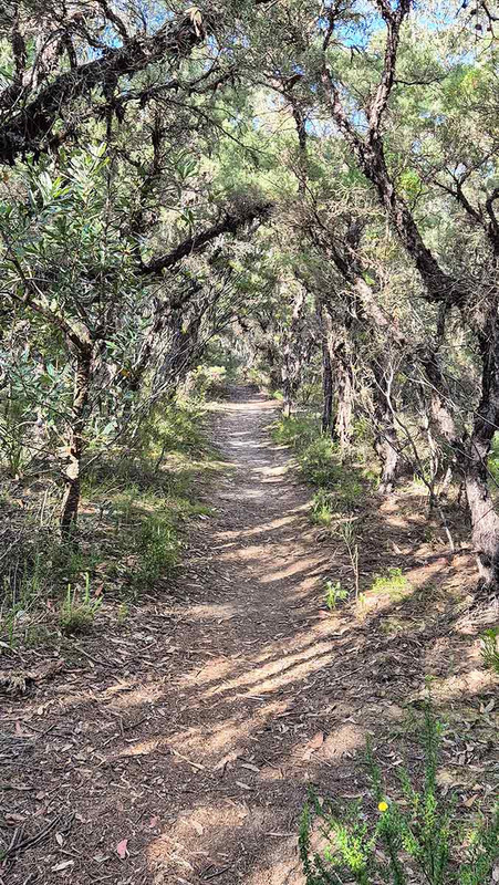 Walking trail