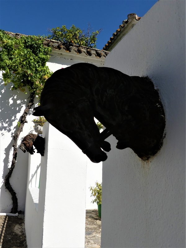 HORNACHUELOS-4-7-2020 - Córdoba y sus pueblos-2017/2020 (83)