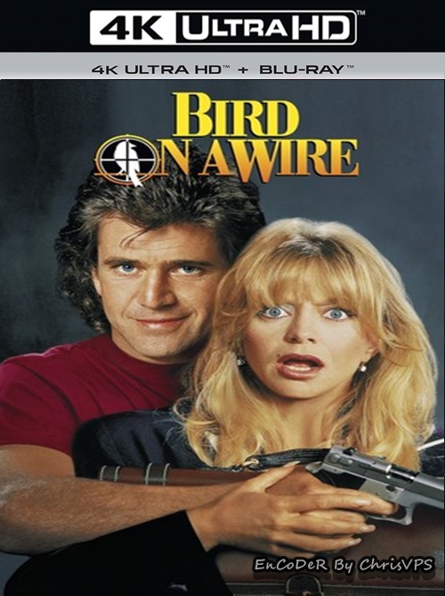 Ptaszek na Uwięzi / Bird On a Wire (1990) MULTI.OPEN.MATTE.HDR.2160p.BDRemux.DTS.HD.MA.AC3-ChrisVPS / LEKTOR i NAPISY