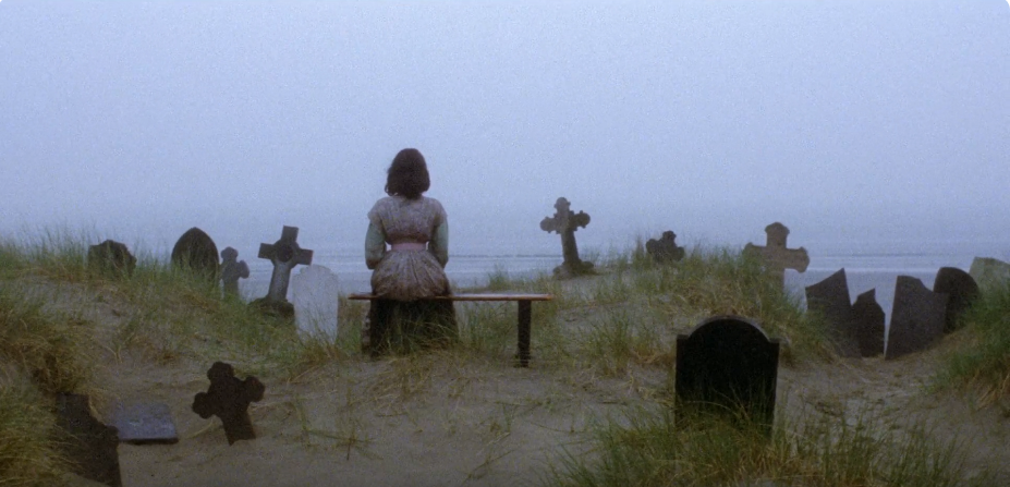 Screenshot-2024-09-19-at-18-00-56-Nosferatu-the-Vampyre-1979-1080p-engsub-You-Tube.png