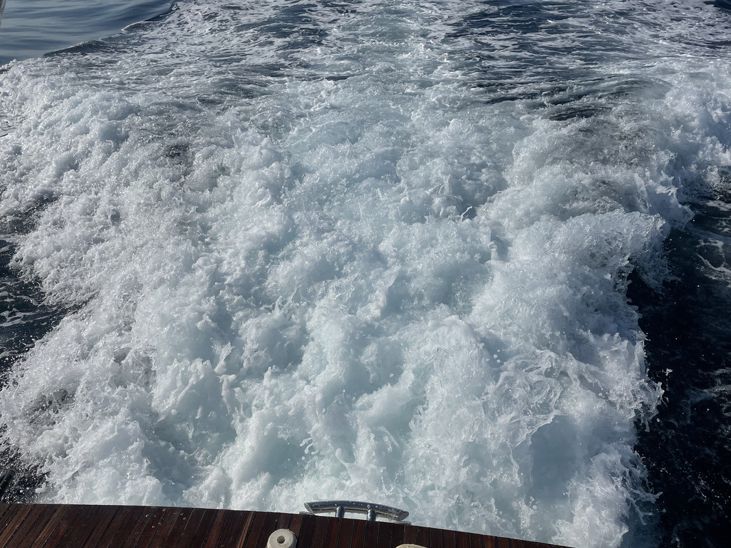 D6B6B1C0-64DB-40C9-84DF-2325C320F7B7