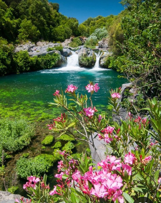 Screenshot_20240512_183016_Pinterest