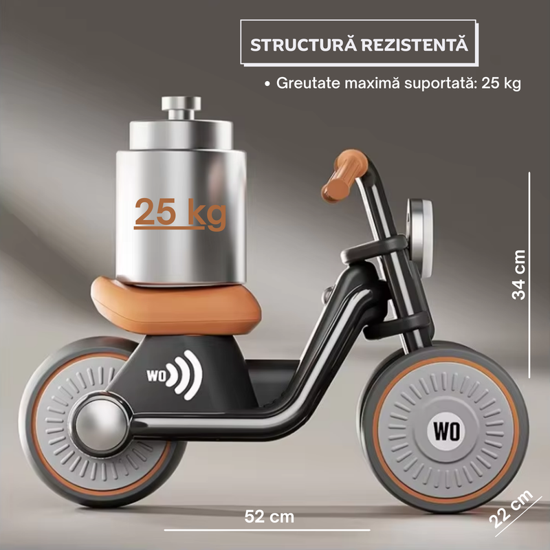 Asamblare_simplă_25kg_greutate_suportată