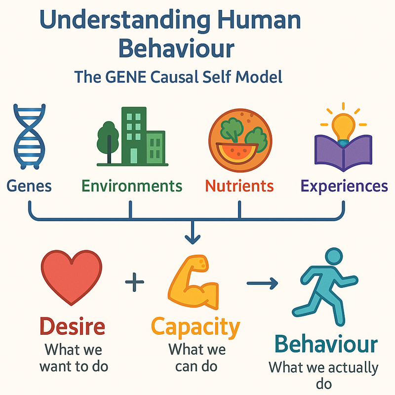 GENE-Causal-Self-Model-Equation.png