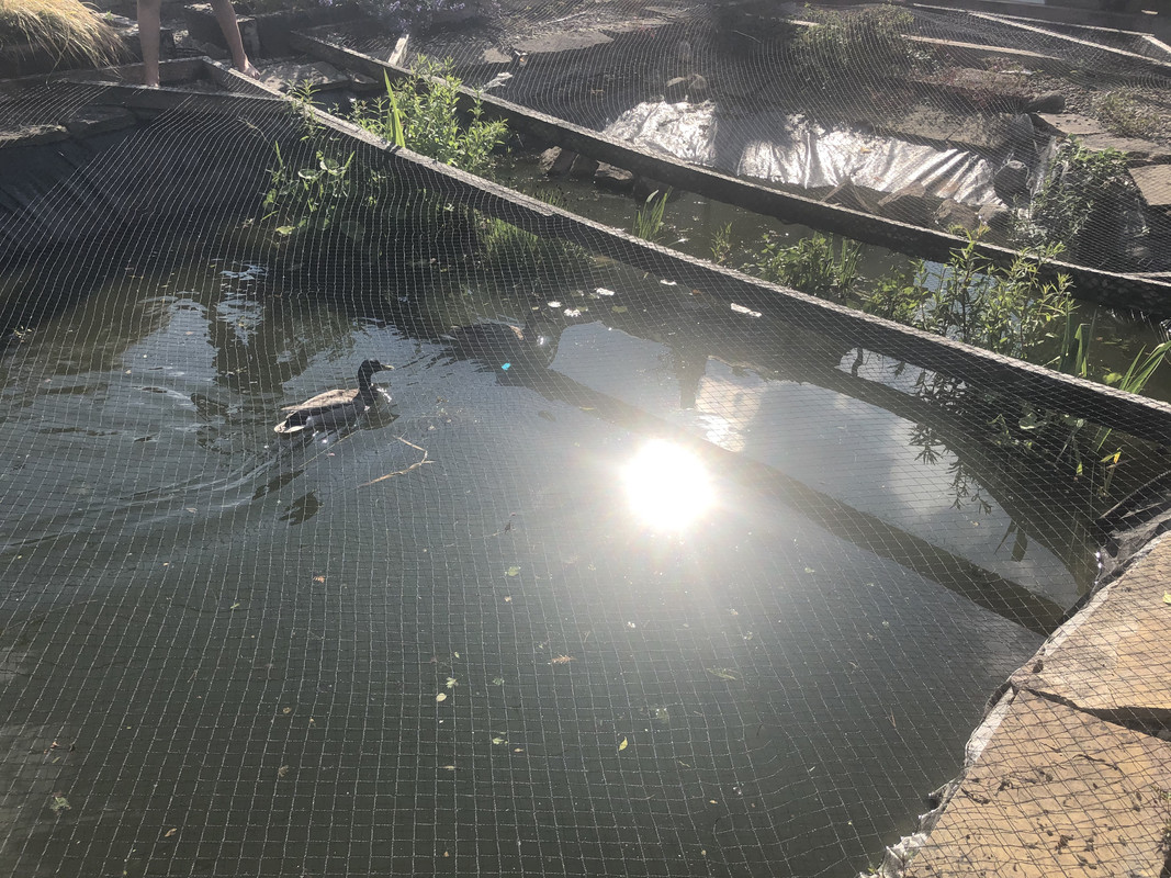 F8A9D92A-3DDC-4B44-83D7-C7E9BE152271