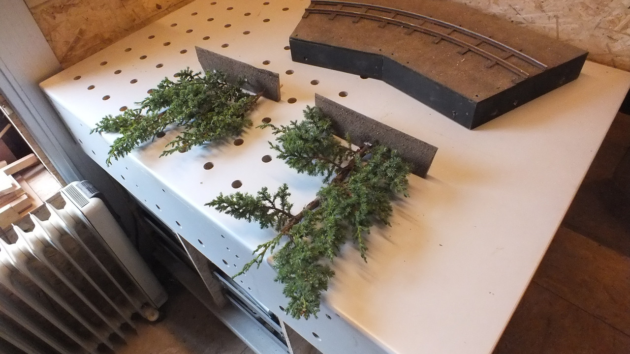 Gehölzrand für Module (26)