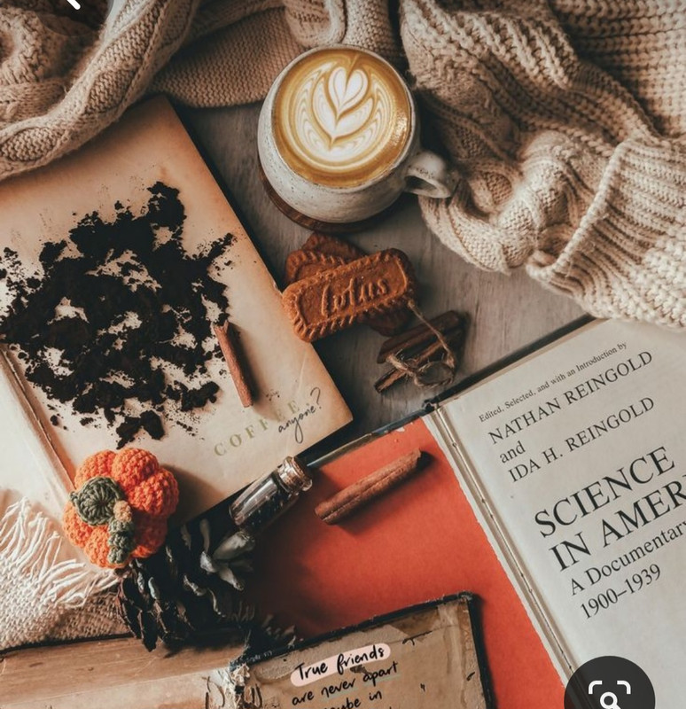 Screenshot_20230616_141222_Pinterest