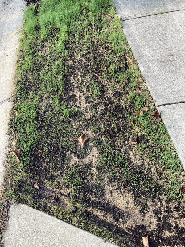 52C354CC-42B8-443F-B5E1-B2F5B868317D