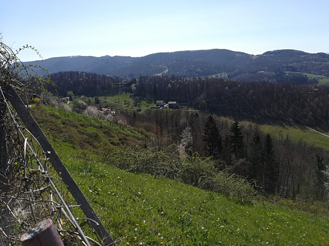 Slika