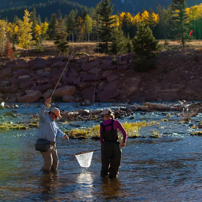 2MEJ_Complete_Trout_1
