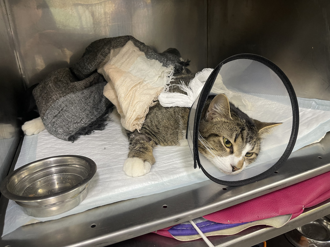 0ACE2169-1F0D-4856-94F1-18F160E08B1A