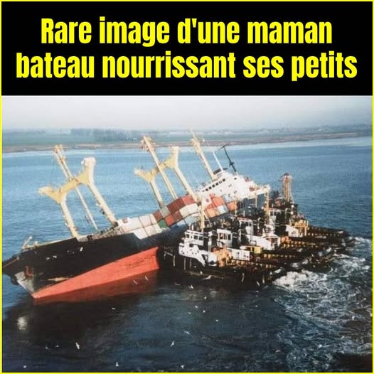 Humour divers - Page 11