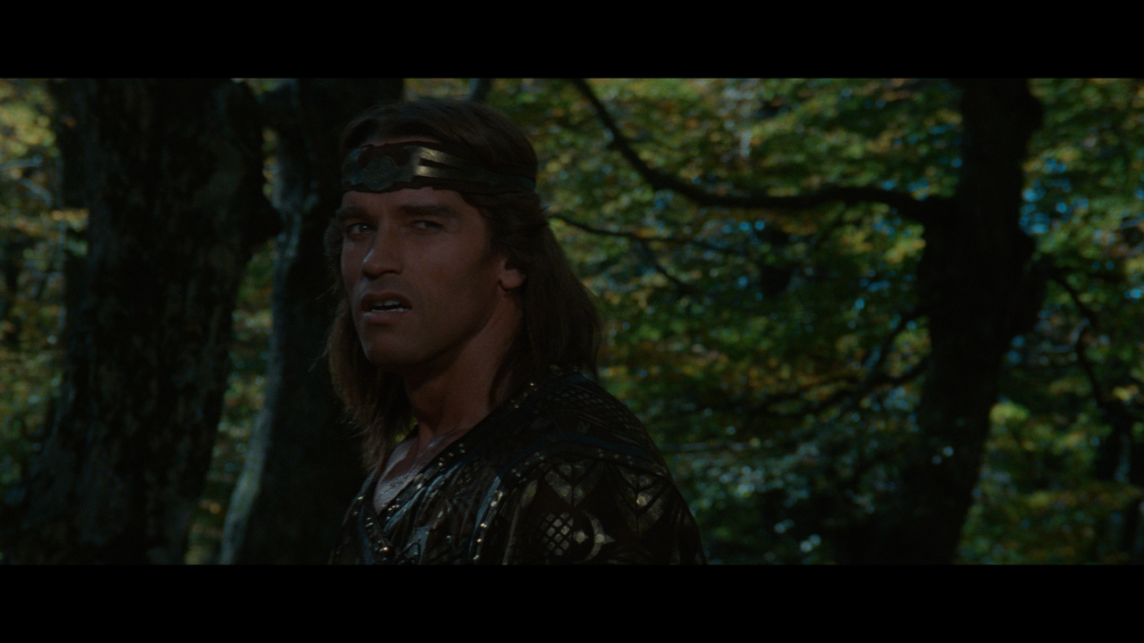 Red.Sonja.1985.REMASTERED.1080p.BDREMUX.AVC-Нечипорук.mkv_snapshot_01.02.49.708