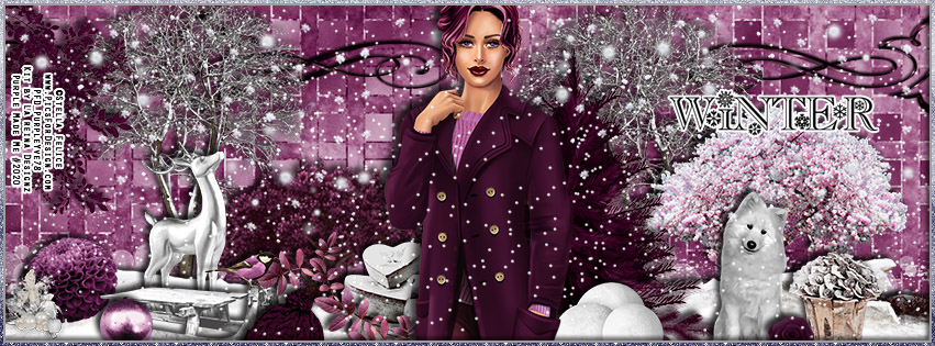 SeasonalPromiseBanner