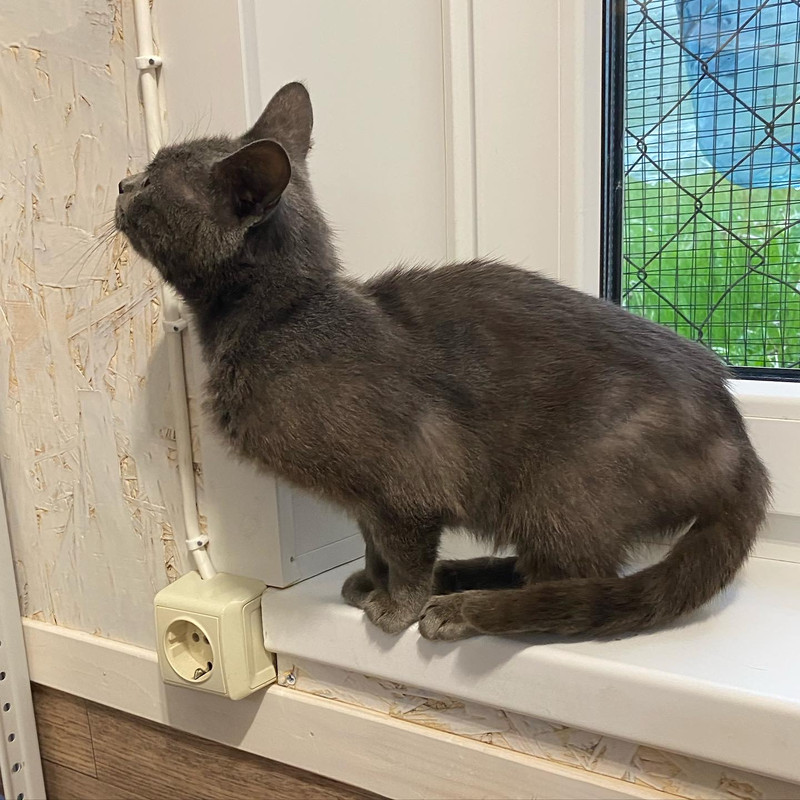 4664E754-BF93-4B29-BF90-2C32CBDC6700