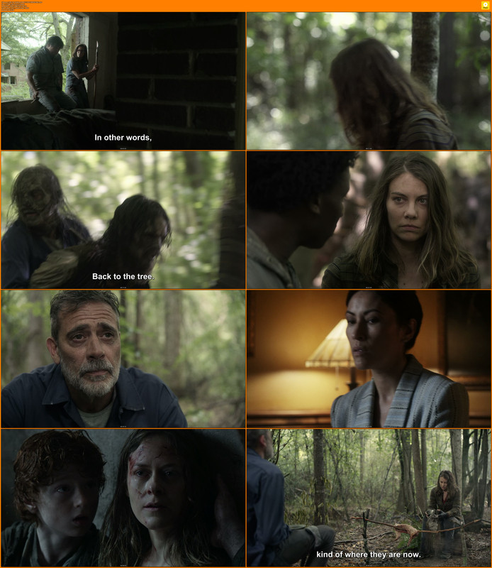 [HR] The Walking Dead S11E07 [46D2A7BA].mkv
