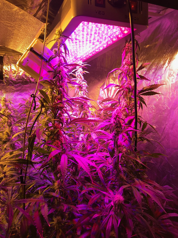 4FDEFDAF-4629-4D29-A139-C7B3830808D6