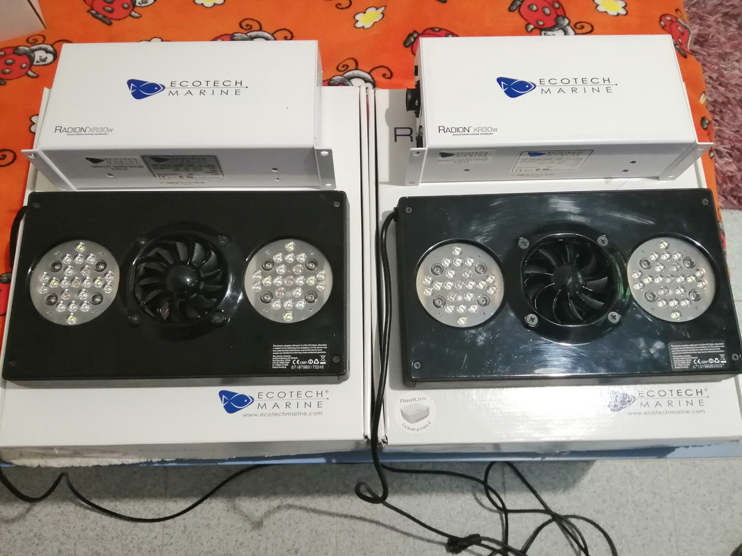 IMG_20200414_174016 (2)