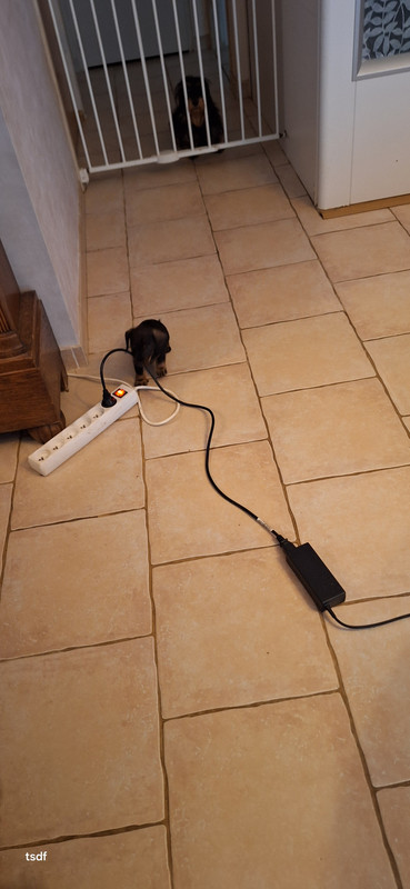 [Image: 20250605-190325.jpg]