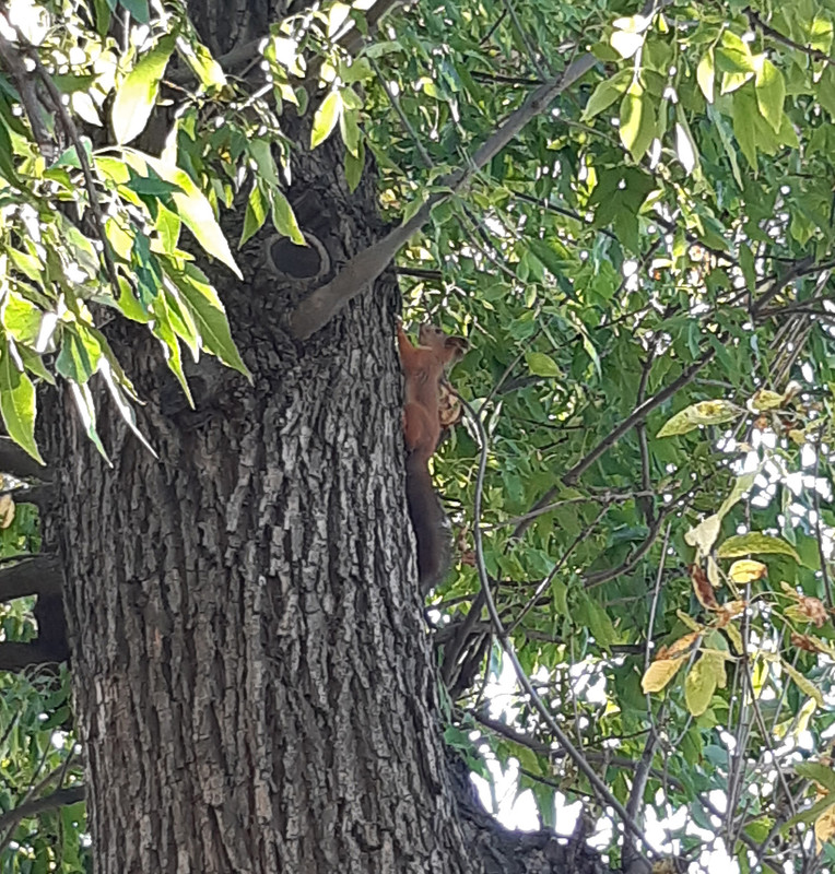 20230925_121328 — копия