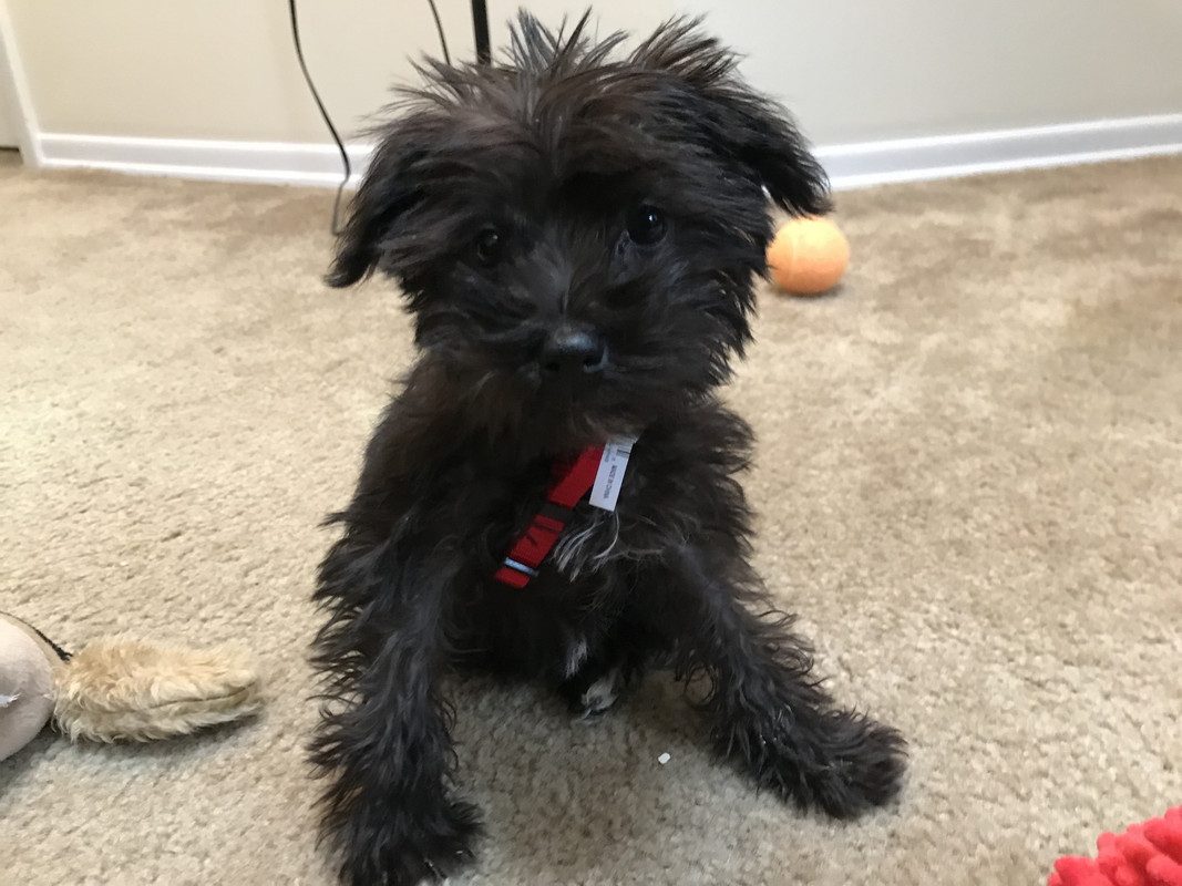 0ADC091A-98BC-40F1-A9CF-ECBC68EA90AD