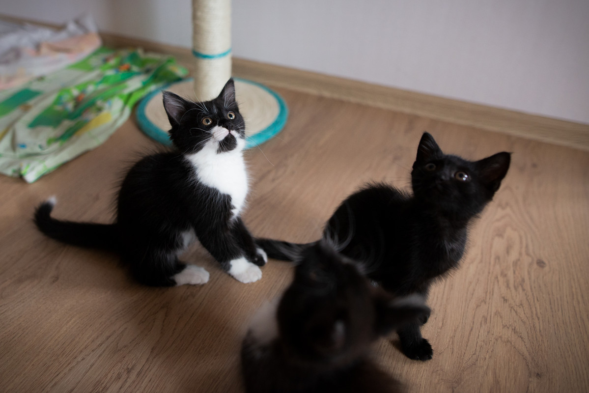 08AA3FAB-2EFF-44B8-9F4E-609250CED776