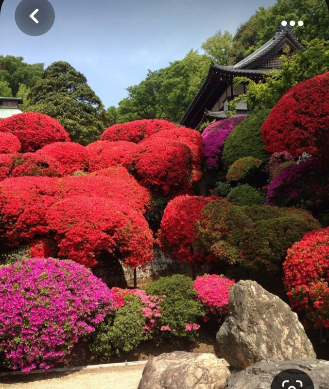 Screenshot_20231020_212035_Pinterest