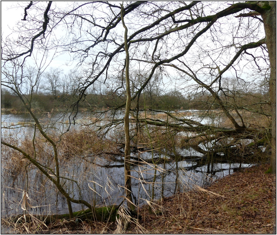 Aire du Lac . P1110780