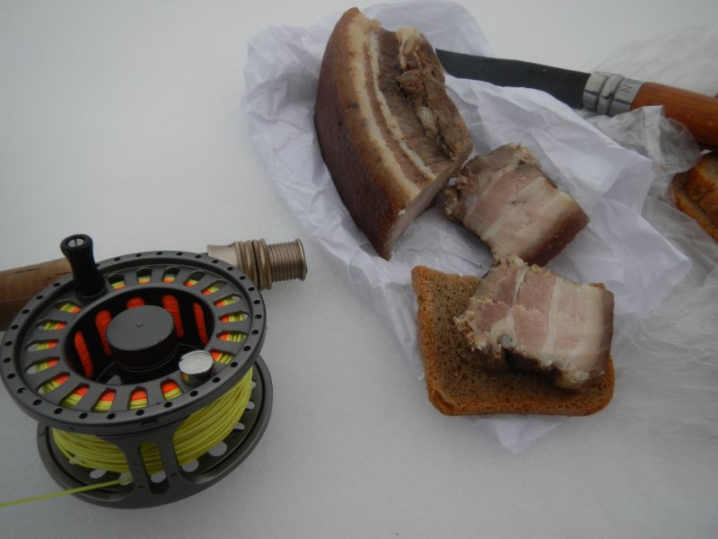 DSCN2036 (800 x 600)